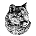 APSchalickCougar.png
