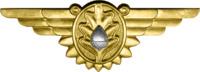 WWII Naval Flight Surgeon Insignia.png