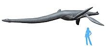 Hydrotherosaurus NT.jpg