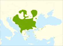 Tilia tomentosa range.svg