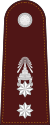 RTP OF-4 (Police Lieutenant Colonel).svg