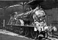 Gateshead Locomotive Depot geograph-2327896-by-Ben-Brooksbank.jpg