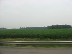 Fields and woods in northern Groton Township