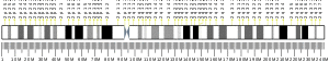 Chromosome 2 (human)