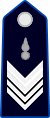 Brigadiere.svg