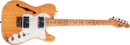 Fender 72 Telecaster Thinline (horizontal).png
