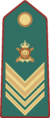 Guardia di Rocca OR6.png