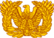 USA - Warrant Officer Insignia.png