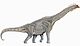 Brachiosaurus DB flipped.jpg
