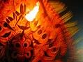 Kolam Thullall.jpg