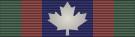 Canadian Volunteer Service Medal BAR 2.svg