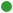 Ski trail rating symbol-green circle.svg