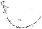Drawing of tail bones