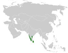 Acritillas indica distribution map.png