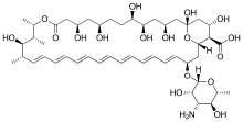 Amphotericin B new.svg