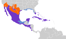 Zenaida asiatica map.svg