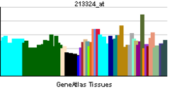 PBB GE SRC 213324 at.png