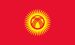 Flag of Kyrgyzstan (official standards).png