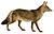 Dogs, jackals, wolves, and foxes (Plate XI).png
