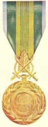 Military Merit Medal (Vietnam).png