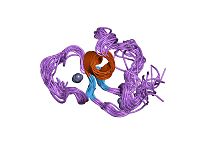PDB 1f62 EBI.jpg