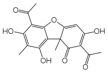 Chemical structure of usnic acid