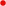 Jakarta