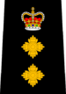 Calgary Police - Deputy Chief.png
