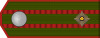 ROA-Oberstleutnant h.svg