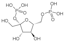 Fructose 2,6-bisphosphate.svg