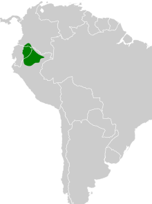 Hylopezus fulviventris map.svg