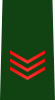 JGSDF Leading Private insignia (b).svg