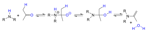 enamine formation by reaction of amine with carbonyl
