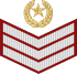 04.Pakistan Army-SSG.svg