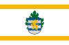 Flag of Csopak