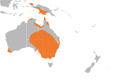 Cherax distribution.svg