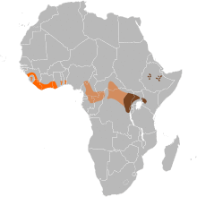 Hylochoerus meinertzhageni map.svg