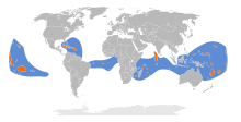 Phaethon lepturus map.svg