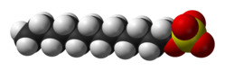 Space-filling model of the dodecyl sulfate ion