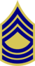 US Army 1948 MSGT Combat.png