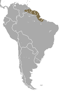 Pinheiro's Slender Opossum area.png