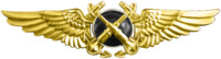 Naval Aviation Observer (Tactical) Insignia.png