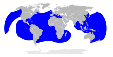 Dermochelys coriacea map.svg