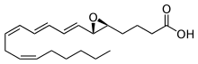 Leukotriene A4.svg