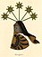 Coatofarms-Krognos.jpg