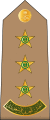 Naqib