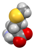 L-methionine-from-xtal-Mercury-3D-sf.png