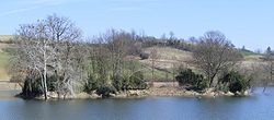 Lago arignano isola.jpg