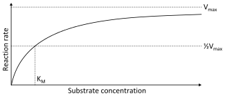 A two dimensional plot of substrate concentration (x axis) vs. reaction rate (y axis). The shape of the curve is hyperbolic. The rate of the reaction is zero at zero concentration of substrate and the rate asymptotically reaches a maximum at high substrate concentration.