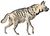 Hyaena striata - 1818-1842 - Print - Iconographia Zoologica - Special Collections University of Amsterdam -(white background).jpg